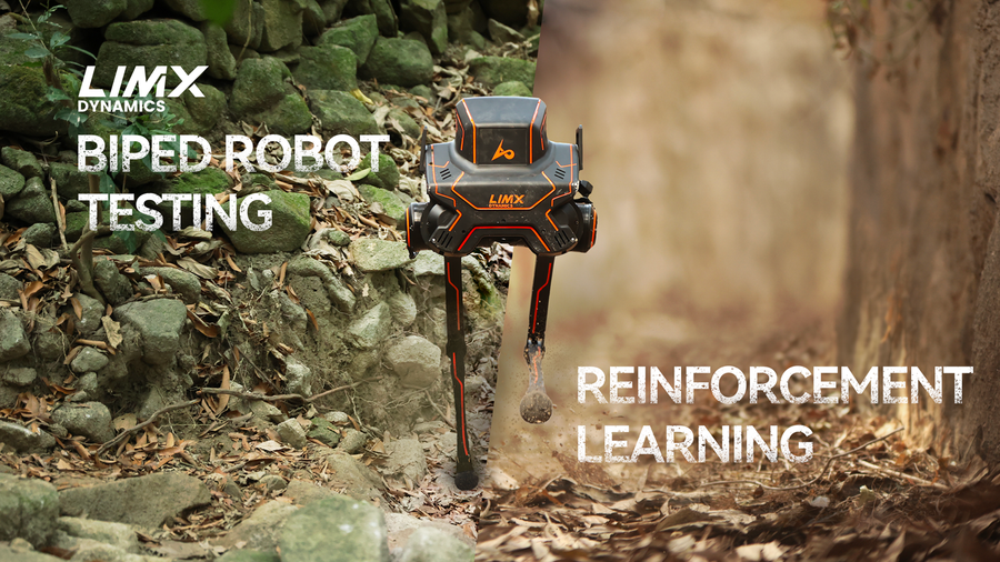 Lim's Robotics LimX Dynamics | Disruptive legged robotics technology for a boundless
